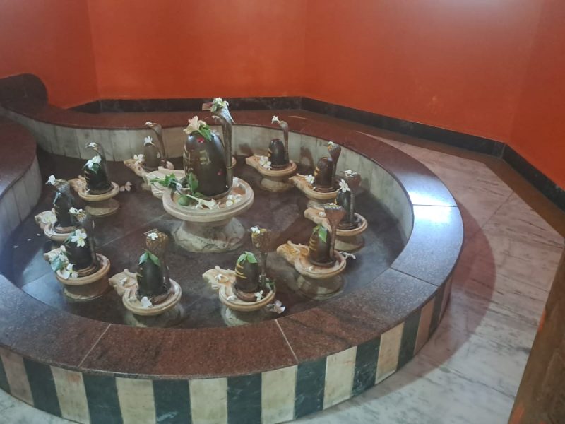 WhatsApp Image 2023-11-29 at 13.43.34_517315b2